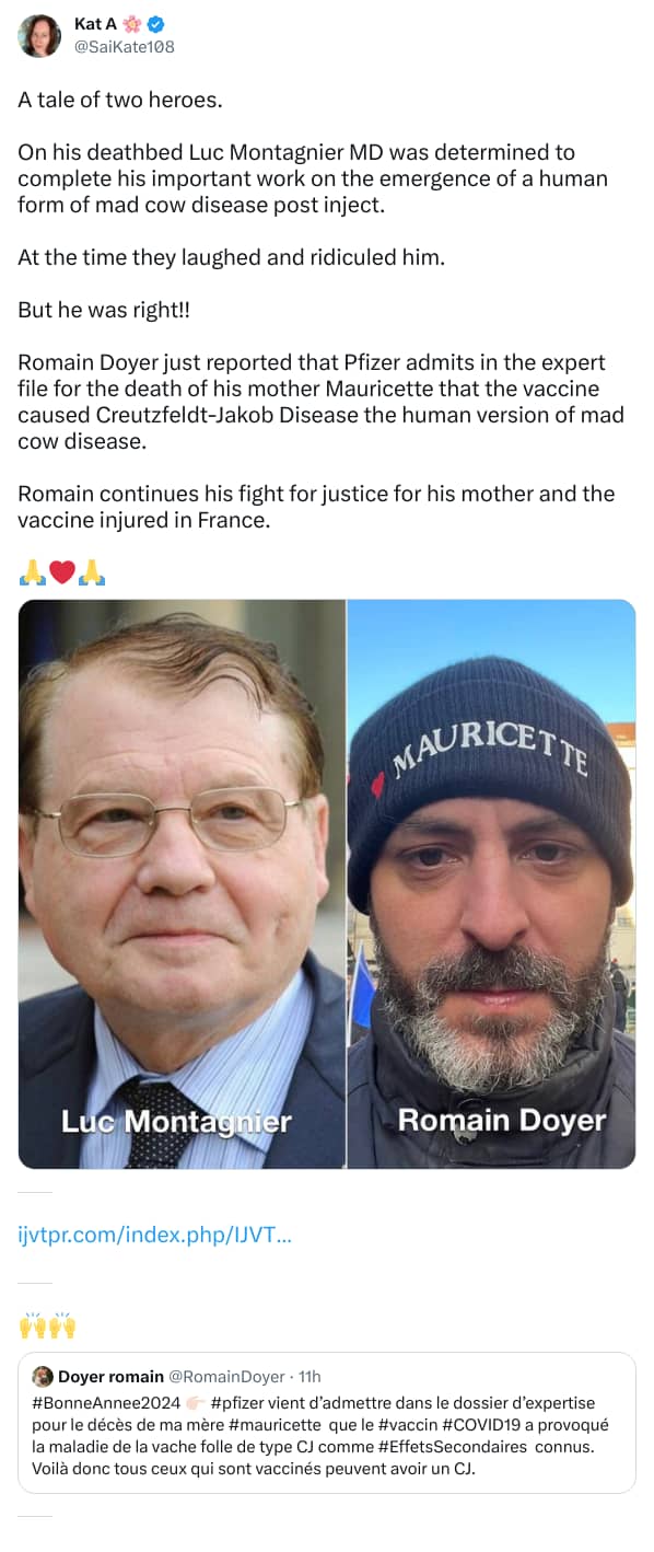 An X (Twitter) post from @SaiKate108 - Kat A 🌸