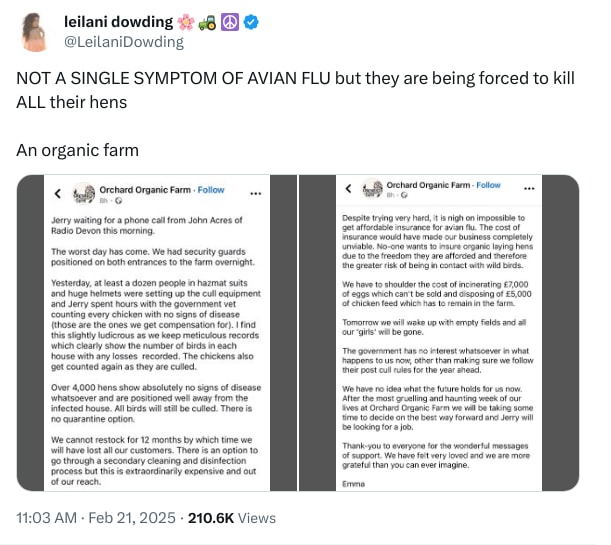 An X (Twitter) post from @LeilaniDowding - leilani dowding 🌸🚜 ☮️