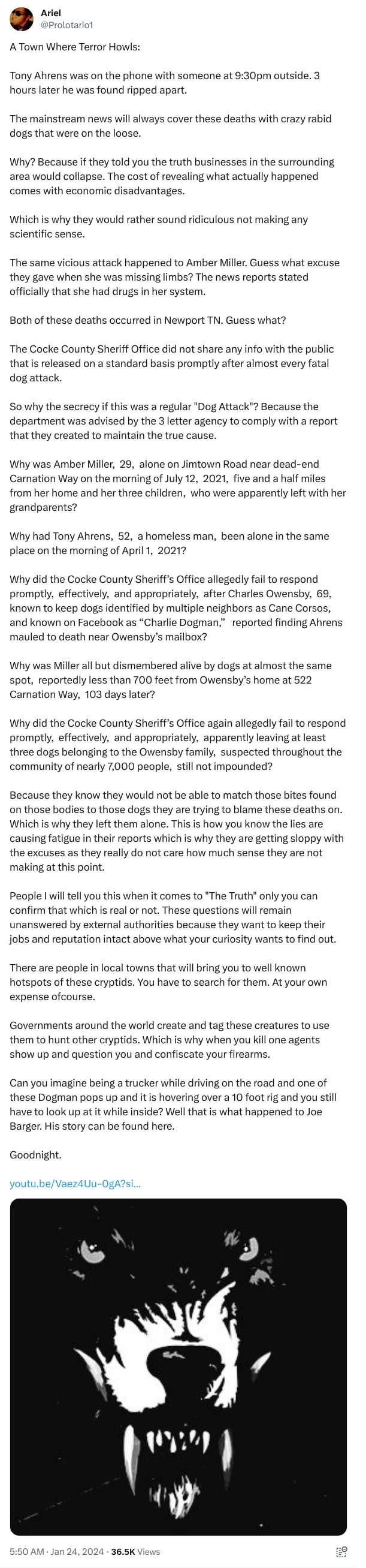 An X (Twitter) post from @Prolotario1 - Ariel