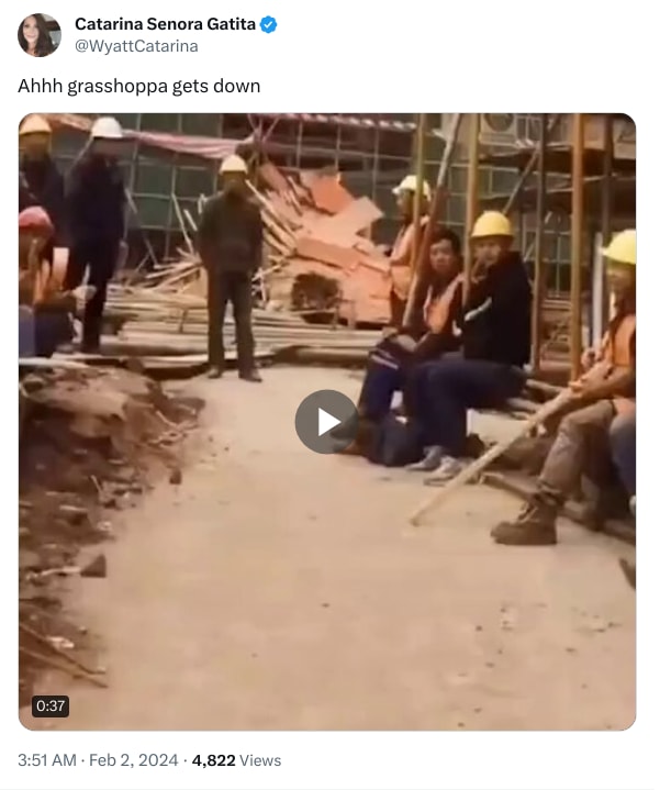 An X (Twitter) post from @WyattCatarina - Catarina Senora Gatita