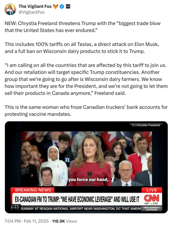 An X (Twitter) post from @VigilantFox - The Vigilant Fox 🦊