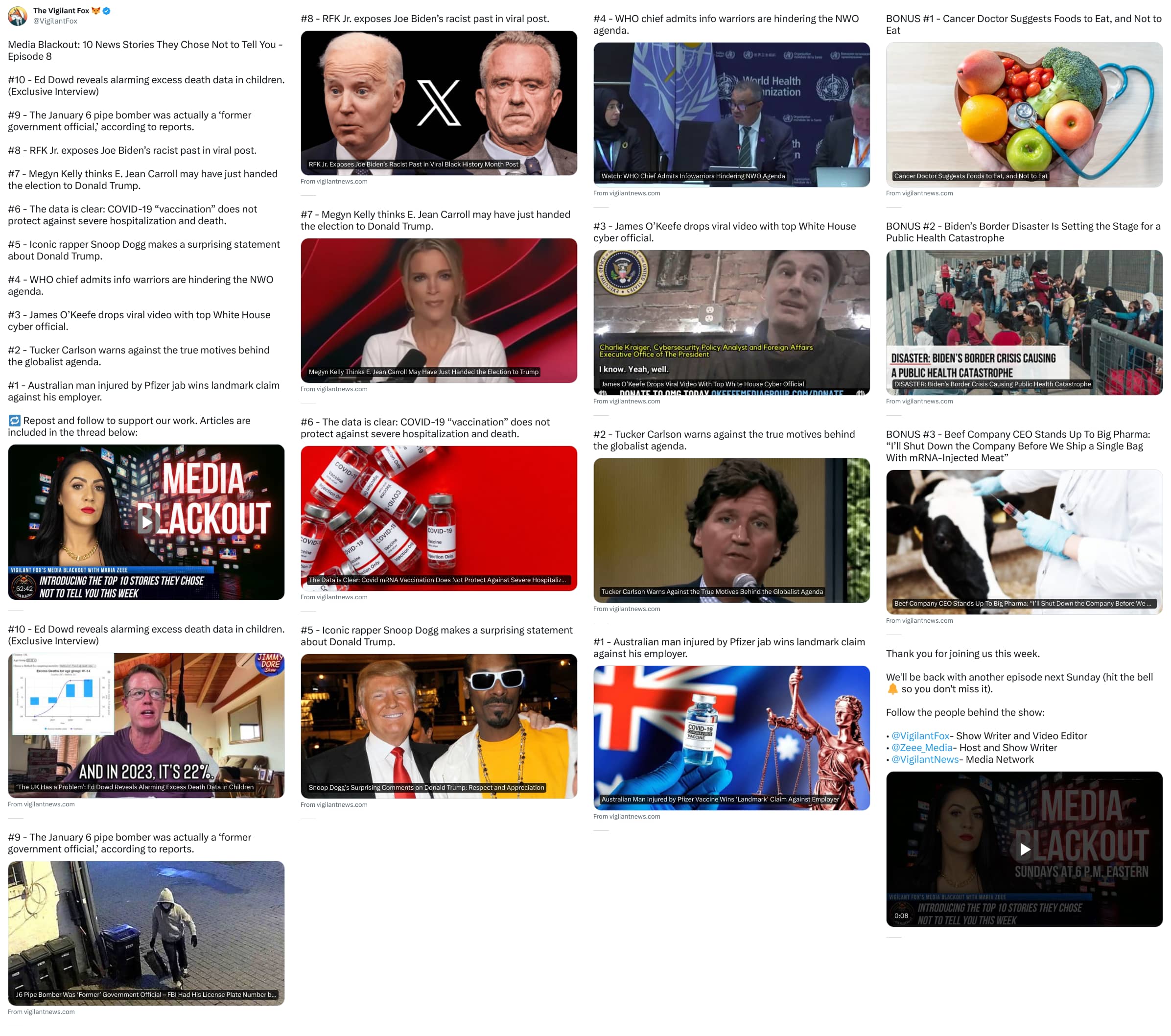 An X (Twitter) post from @VigilantFox - The Vigilant Fox 🦊