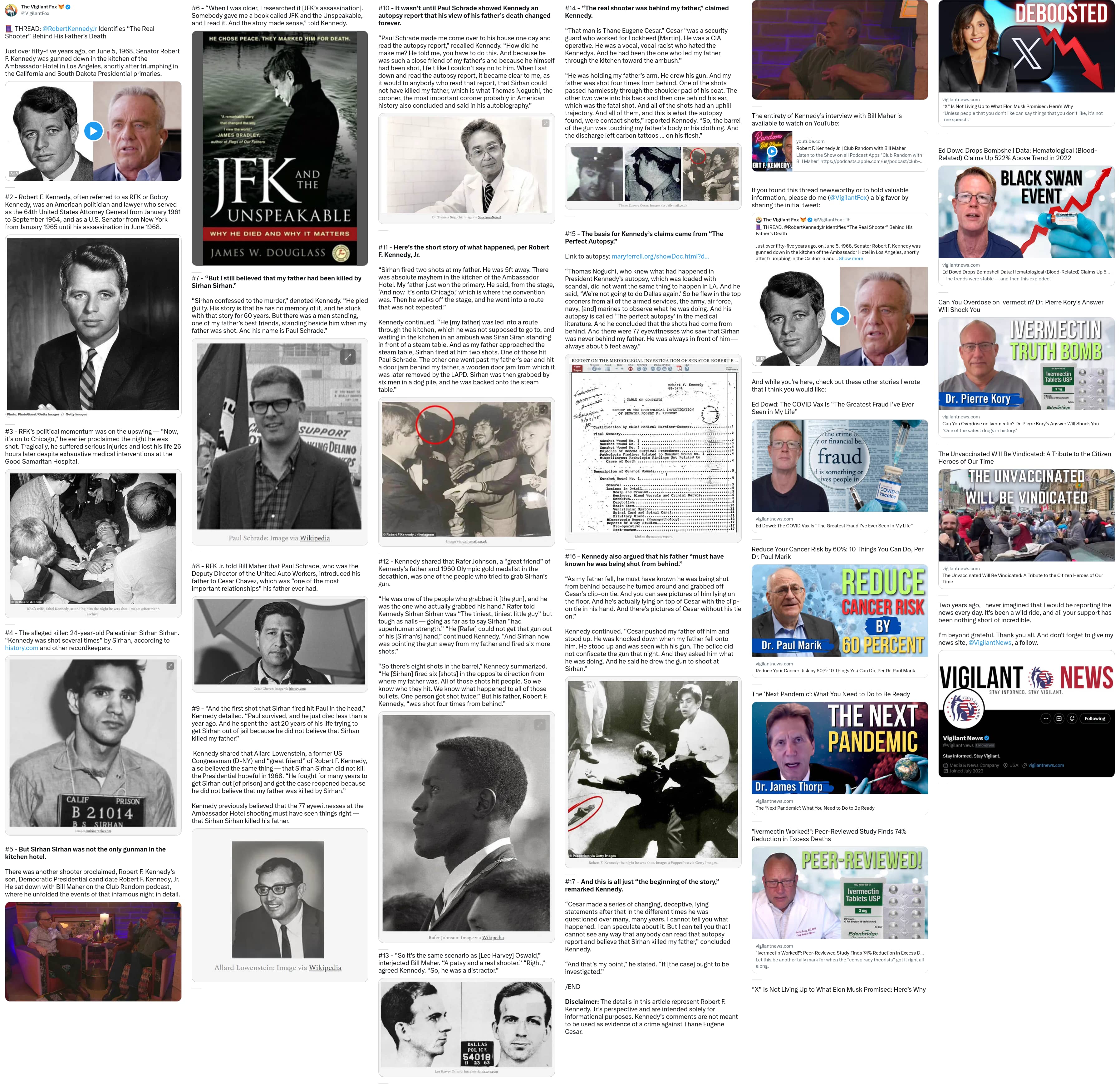 An X (Twitter) post from @VigilantFox - The Vigilant Fox 🦊