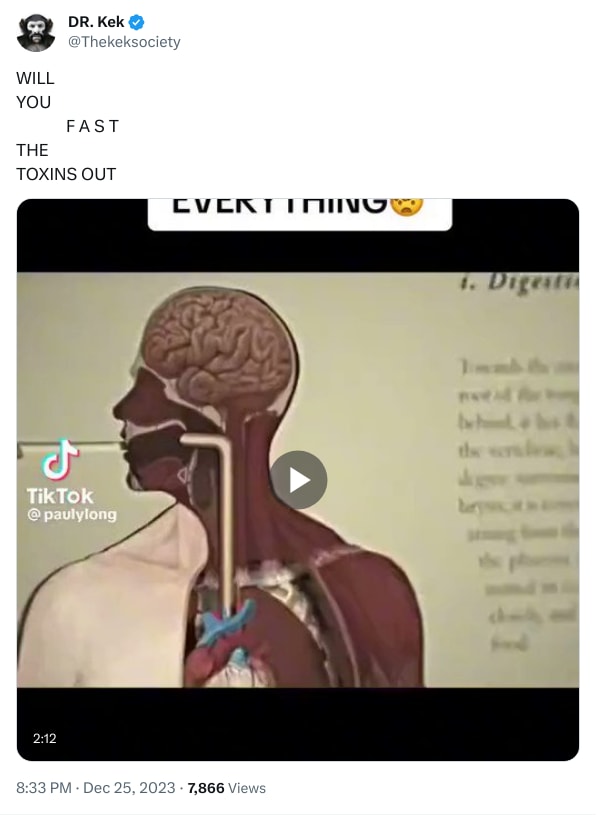 An X (Twitter) post from @Thekeksociety - DR. Kek
