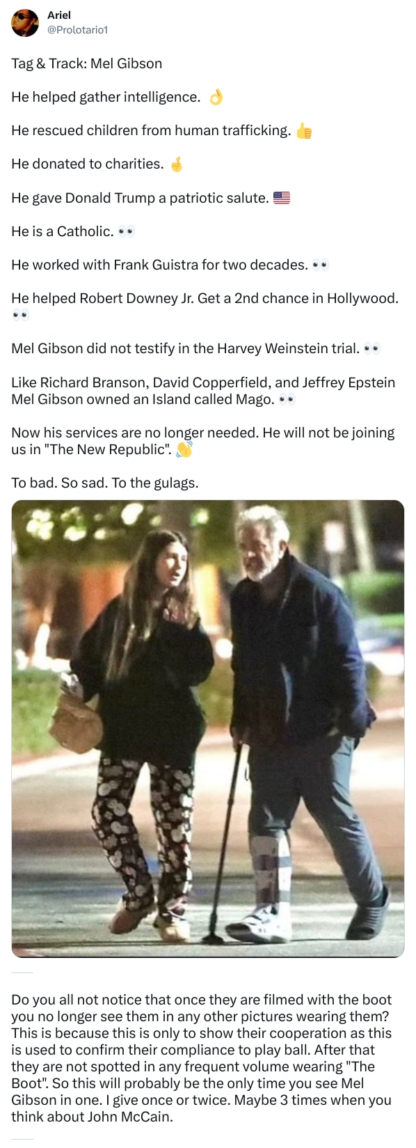 An X (Twitter) post from @Prolotario1 - Ariel