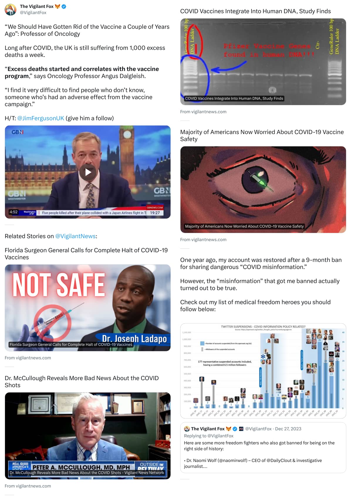 An X (Twitter) post from @VigilantFox - The Vigilant Fox 🦊