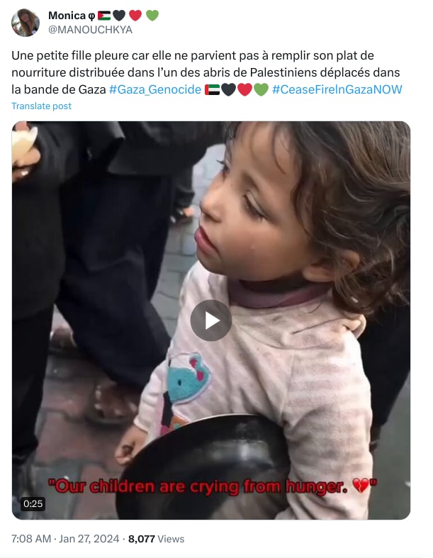 An X (Twitter) post from @MANOUCHKYA - Monica φ 🇵🇸🖤 ❤️ 💚