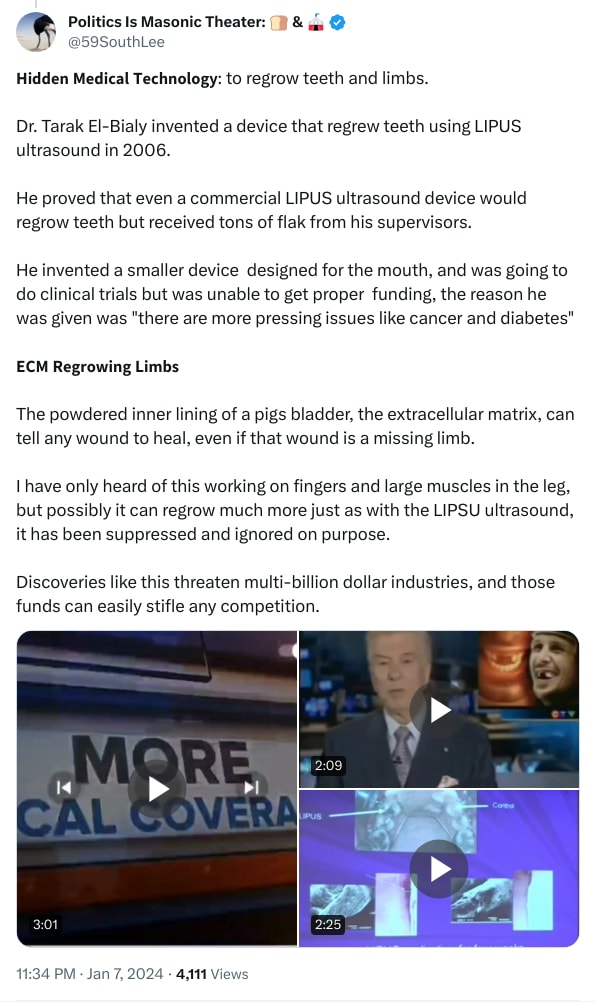 An X (Twitter) post from @59SouthLee - Politics Is Masonic Theater: 🍞 & 🎪