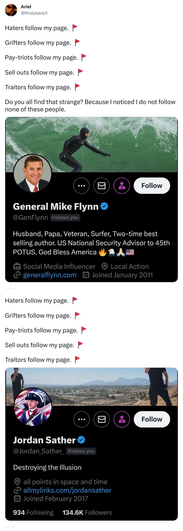 An X (Twitter) post from @Prolotario1 - Ariel