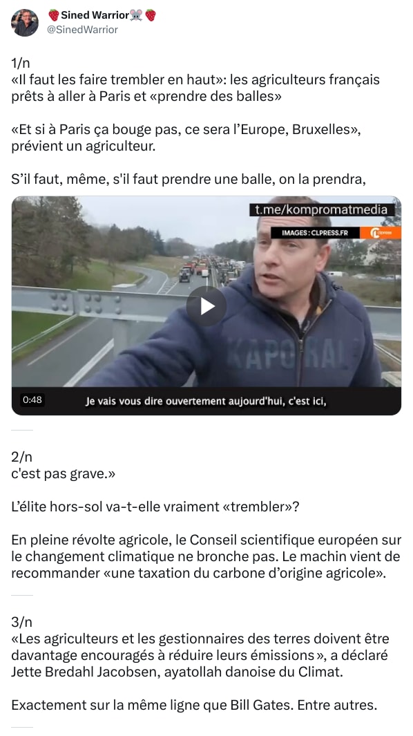 An X (Twitter) post from @SinedWarrior - 🍓Sined Warrior🐭🍓