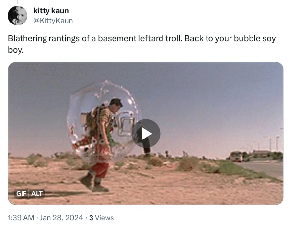 An X (Twitter) post from @KittyKaun - kitty kaun