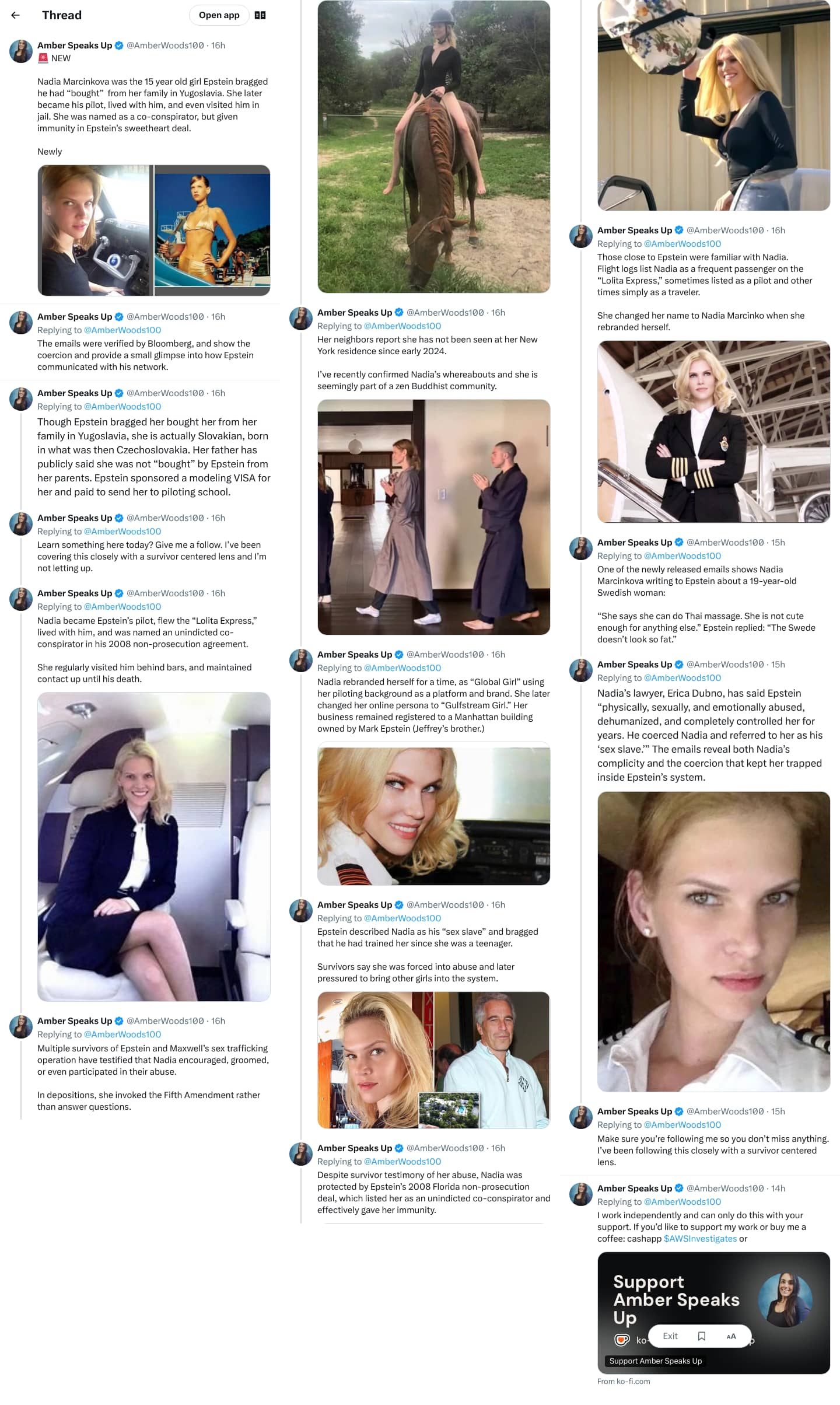 An X (Twitter) post from @AmberWoods100 - Amber Speaks Up