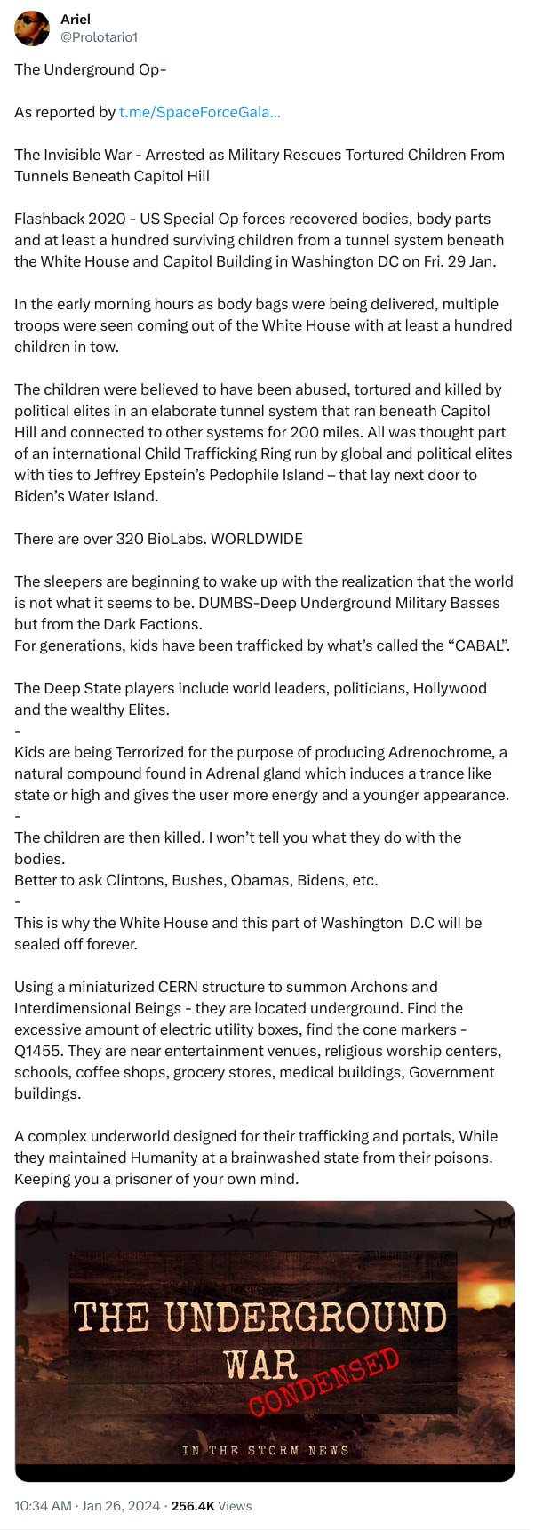 An X (Twitter) post from @Prolotario1 - Ariel