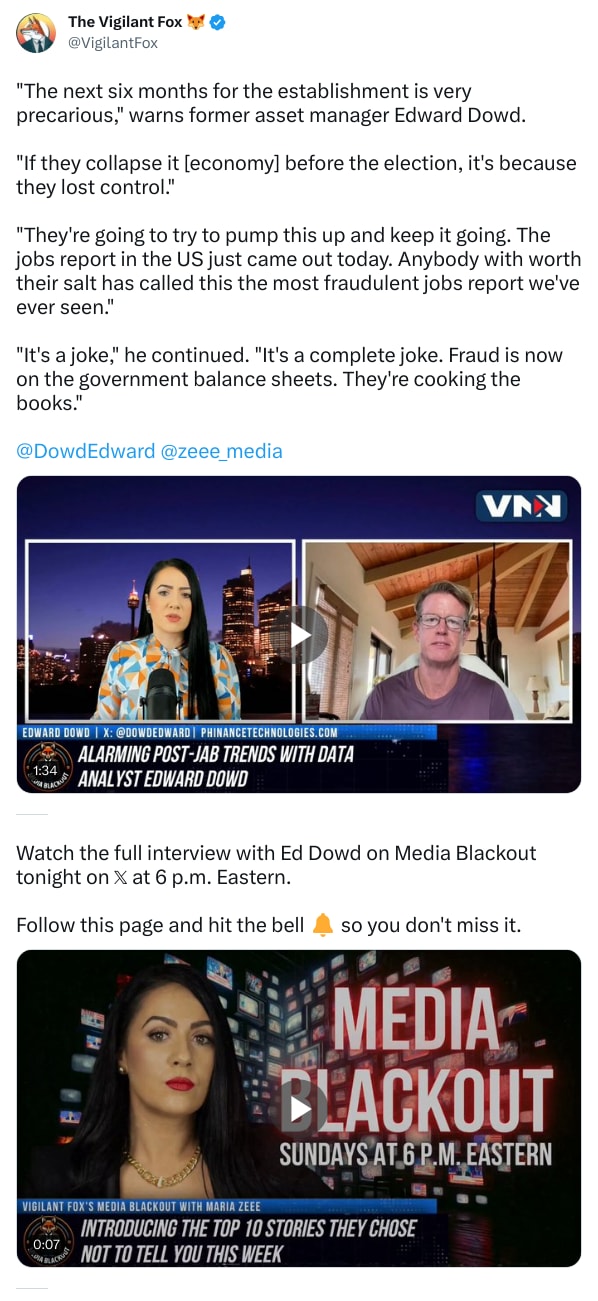 An X (Twitter) post from @VigilantFox - The Vigilant Fox 🦊