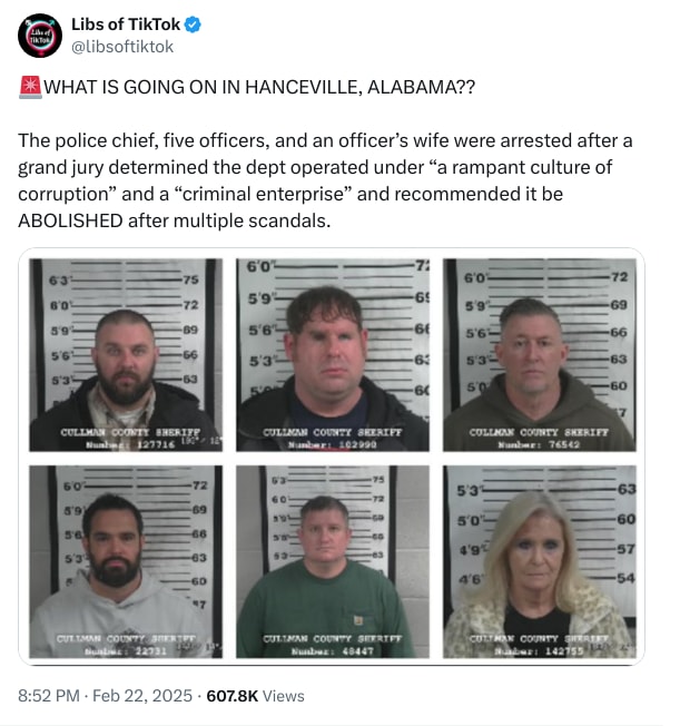 An X (Twitter) post from @libsoftiktok - Libs of TikTok