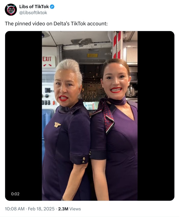 An X (Twitter) post from @libsoftiktok - Libs of TikTok