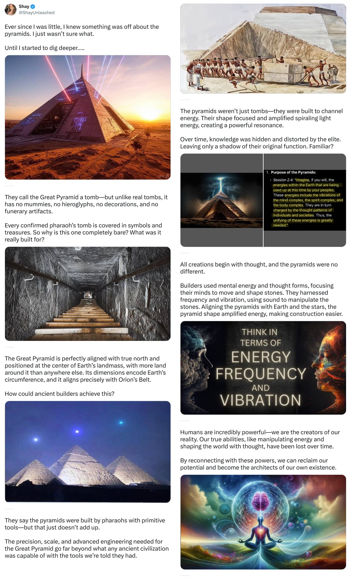 An X (Twitter) post from @ShayUnleashed - Shay