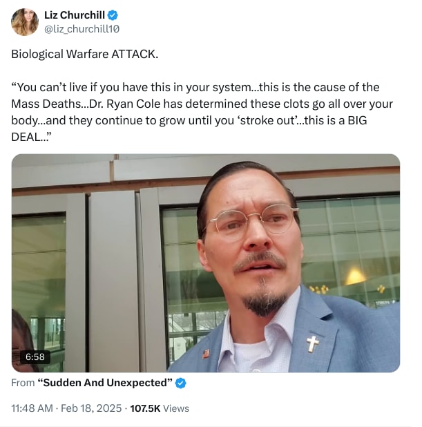 An X (Twitter) post from @liz_churchill10 - Liz Churchill