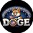 DOGE__news