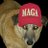 Bo6_Marley