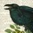 Wordofbeak