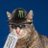 JUSTcatmeme