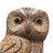 amy_likes_owls